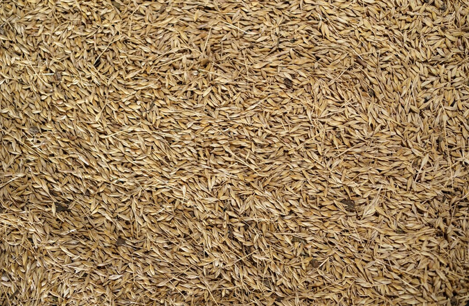 Rice husk, an agricultural by-product